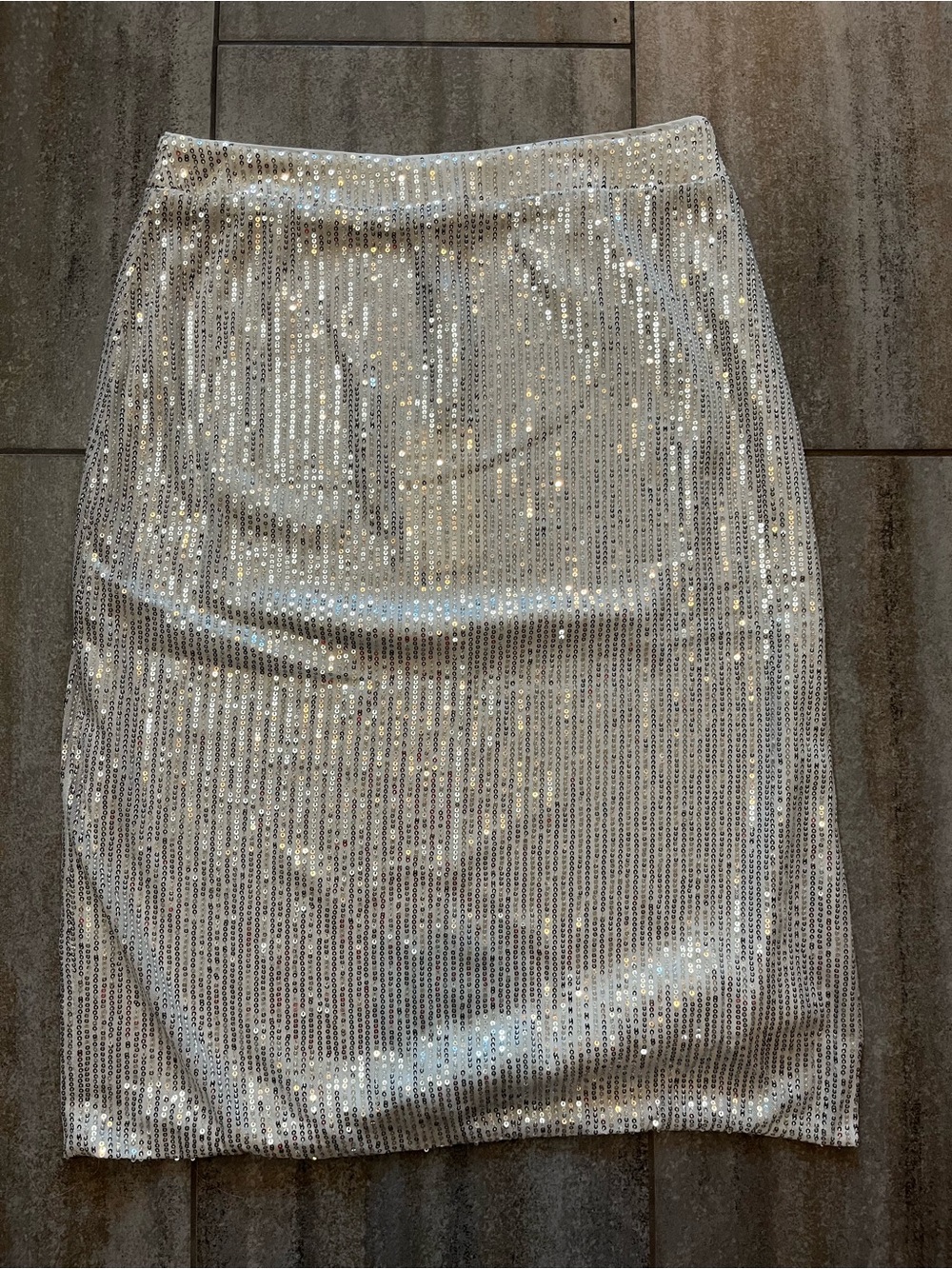 Vine & Love Silver Sequin Pencil Skirt